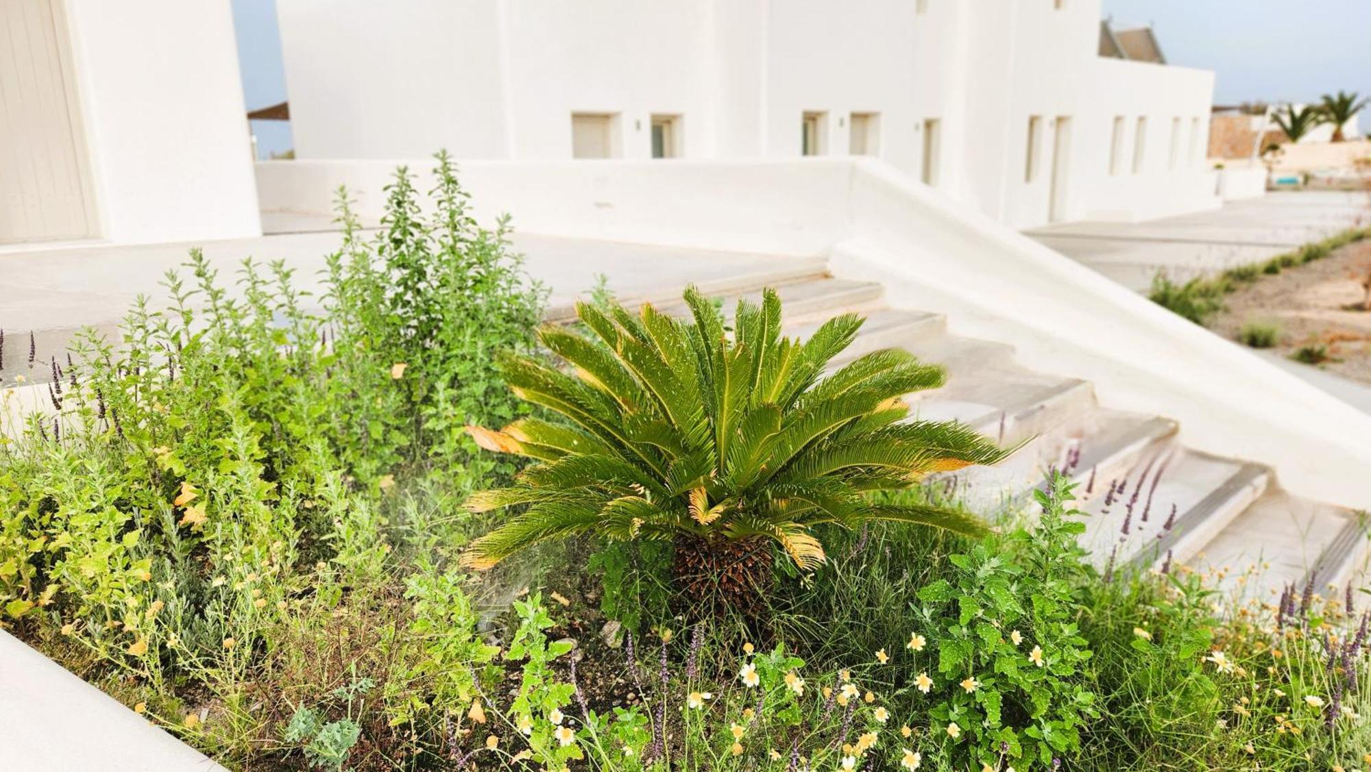 Hayal Suites Santorini Emporio  Exteriér fotografie